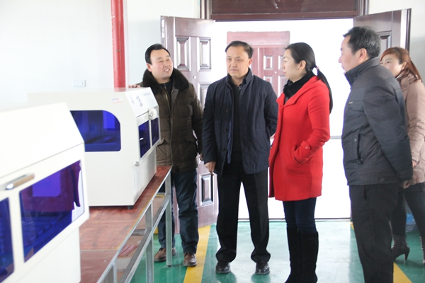 区委常委、统战部长张莉一行正在阔海医疗调研