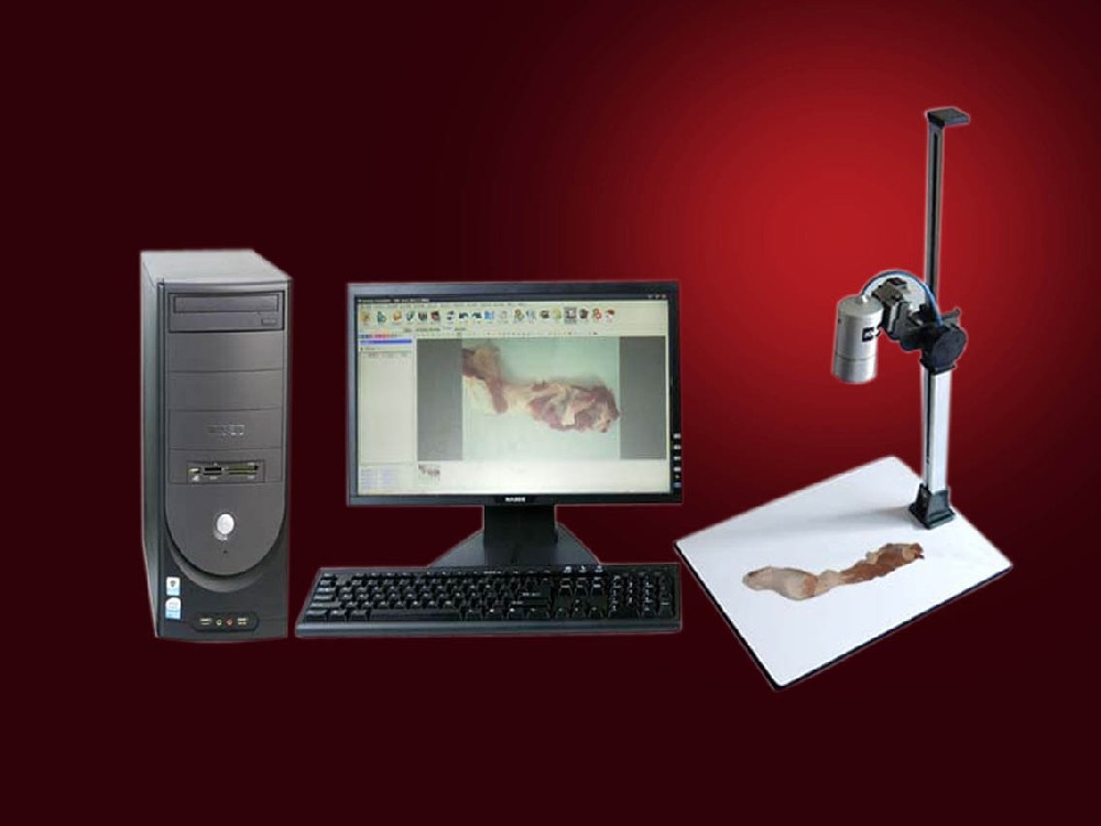 KH-CX gross specimen imaging system