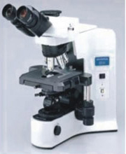 Olympus microscope