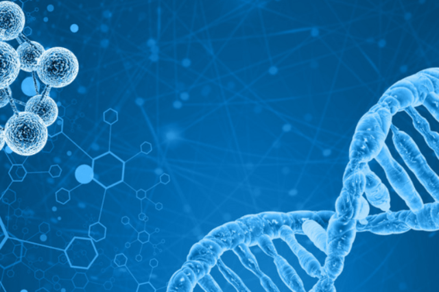 Pathology and Pathological Diagnosis